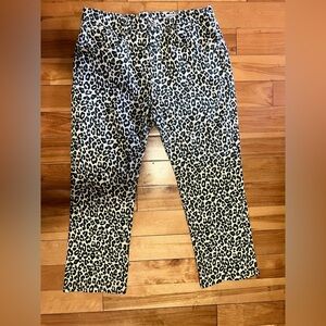 Zara High Rise Leopard Print Jeans
27” Inseam
